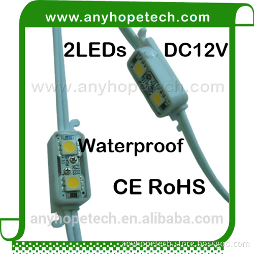 Cheap Price DC12V Warm White 2LEDs/pcs led flashing module